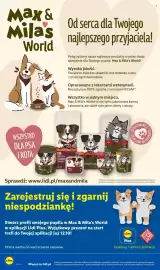 Lidl gazetka Strona 94