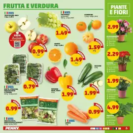 Volantino PENNY Pagina 6: Crisantemo €1,99, Schlumbergera €2,99