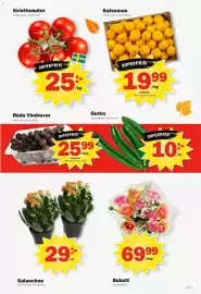 Pekås reklamblad vecka 42 Sida 7: Kvisttomater €25,00, Satsumas €19,99