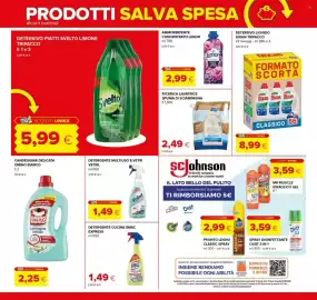 Volantino Oasi Pagina 17: Detersivo piatti Svelto limone €5,99, Detergente multiuso e vetri Vetril €1,49