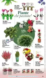 Volantino Ipercoop Pagina 29