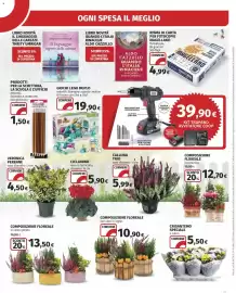Volantino Ipercoop Pagina 29: Crisantemo speciale €5,50, Risma di carta per fotocopie Magellano €4,99