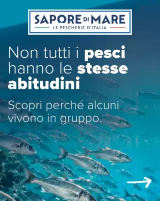 Volantino Sapore di Mare