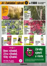 Hornbach leták Strana 3: FloraSelf pampová tráva €269,00, FloraSelf zahradnický kompost €199,00