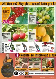 Hornbach leták Strana 4: FloraSelf Rybíz červený Bio €249,00, Maliník podzimní Bio €369,00