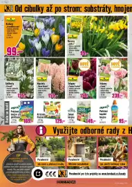 Hornbach leták Strana 6: Kristalon Podzim €129,00, FloraSelf Krokusy Grandiflora mix €99,00