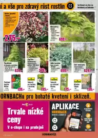 Hornbach leták Strana 7: FloraSelf Substrát pro okrasné dřeviny €175,00, FloraSelf dřevěná štěpka €159,00