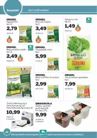 Volantino GrosMarket Pagina 10: Orogel fagiolini fini €2,79, Orogel broccoli rosette €3,49