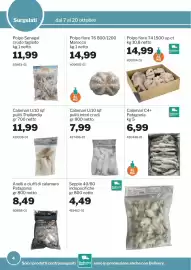 Volantino GrosMarket Pagina 4: Polpo fiore T6 €14,99, Calamari U/10 iqf puliti interi crudi €7,99