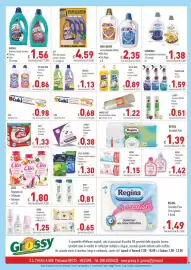 Volantino Cash & Carry Grossy Pagina 4: ACE Detersivo Liquido Lavatrice Classico €4,59, Sacchetti Nettetto Urbano Abra €1,22