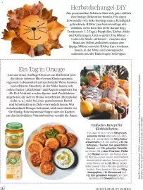 Dm Flugblatt Seite 16