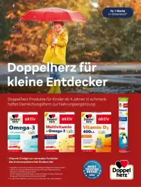 Dm Flugblatt Seite 4