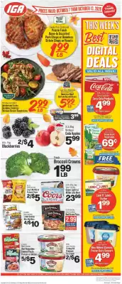 IGA (valid until 13-10)