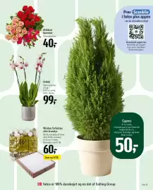 Føtex tilbudsavis uge 41 Side 70: Afskårne blomster €40,00, Cypres €50,00