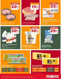 Catálogo Makro Página 4: Lomo de Cerdo, Aro Vida Yogures y Kumis