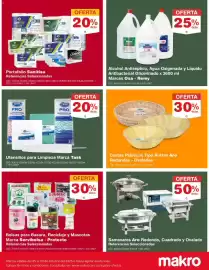 Catálogo Makro Página 9: Cestas Plásticas Tipo Rattan Aro Redondas - Ovaladas, Portafolio Sanitisu