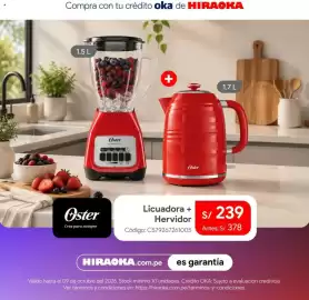 Catálogo Hiraoka Página 3