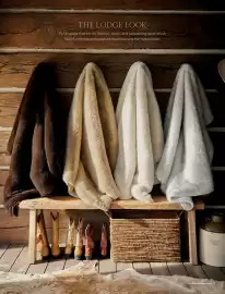 Pottery Barn flyer Page 7