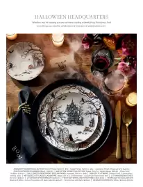 Pottery Barn flyer Page 98