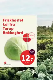 SPAR tilbudsavis uge 41 Side 5: Dansk Hvidkål €12,00