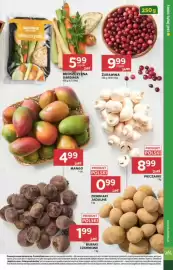 Stokrotka gazetka tydzień 41 Strona 15
