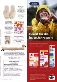 Dm Flugblatt Seite 111