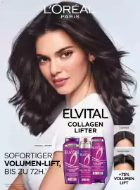 Dm Flugblatt Seite 13