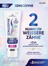 Dm Flugblatt Seite 85