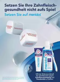 Dm Flugblatt Seite 96