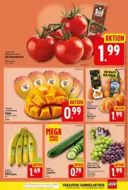 Elli Markt Prospekt woche 41 Seite 3