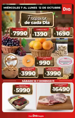 DIA (válido hasta 12-10)
