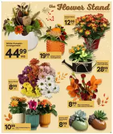Quality Foods flyer week 41 Page 5: Acorns with Succulents €8,99, Mini Carnations with Ruscus Fall Mix €8,99