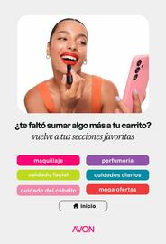 Catálogo AVON Página 208