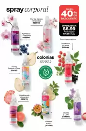 Catálogo AVON Página 106