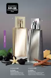 Catálogo AVON Página 81