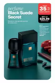 Catálogo AVON Página 84