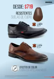 Catálogo Andrea Página 205