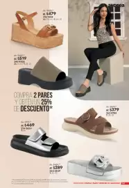 Catálogo Andrea Página 241