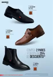 Catálogo Andrea Página 242