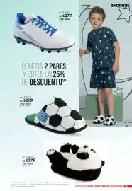 Catálogo Andrea Página 251