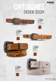 Catálogo Andrea Página 429