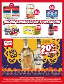 Catálogo Zorro Página 10: Minsa harina de maíz blanco, Rexal polvo p/hornear