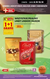 Biedronka gazetka Strona 17