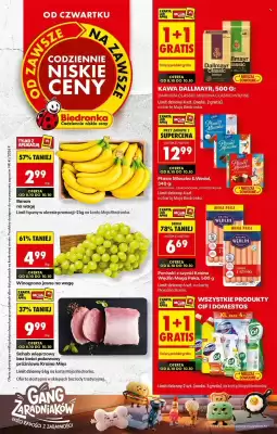 Biedronka gazetka