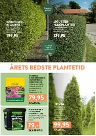 Plantorama tilbudsavis Side 3: Thuja €99,95, Hornum Hæk & Stedsegrøn-gødning 5 liter €79,00