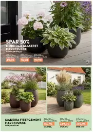 Plantorama tilbudsavis Side 5: Nørholm glaseret havekrukke €49,98, Madeira fibercement havekrukke €249,95