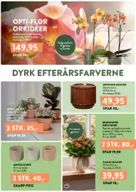 Plantorama tilbudsavis Side 7: BRÆNDENDE KÆRLIGHED €49,95, DOWNING SKJULER €49,95