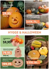 Plantorama tilbudsavis Side 9: PYNTEGRÆSKAR I NET €59,95, HALLOWEEN GRÆSKAR €29,95
