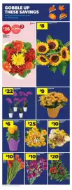 Real Canadian Superstore flyer week 41 Page 12