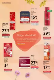 Dm Flugblatt Seite 14